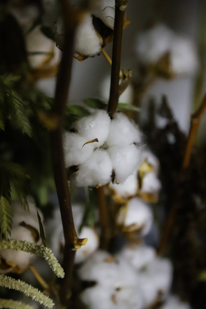Diferencias entre el algodón orgánico y el algodón convencional | Minimalism